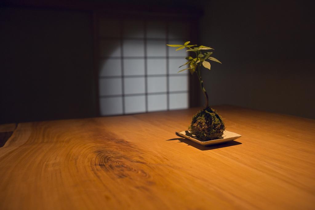 Ryokan Mokuzin Хакуба-Мура Экстерьер фото